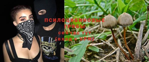 твердый Козловка
