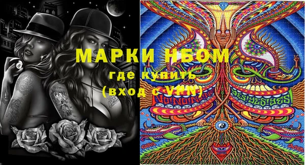 твердый Козловка