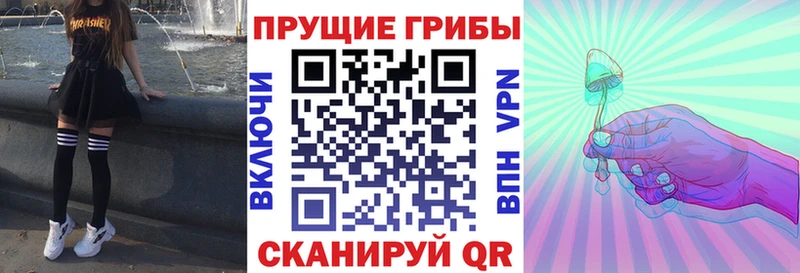 где найти   Мытищи  Галлюциногенные грибы Psilocybine cubensis 