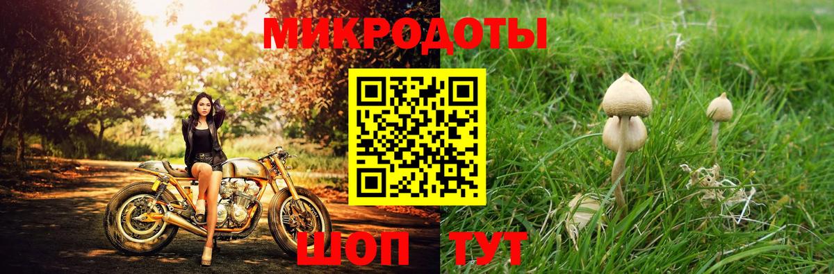 Псилоцибиновые грибы ЛСД Мытищи