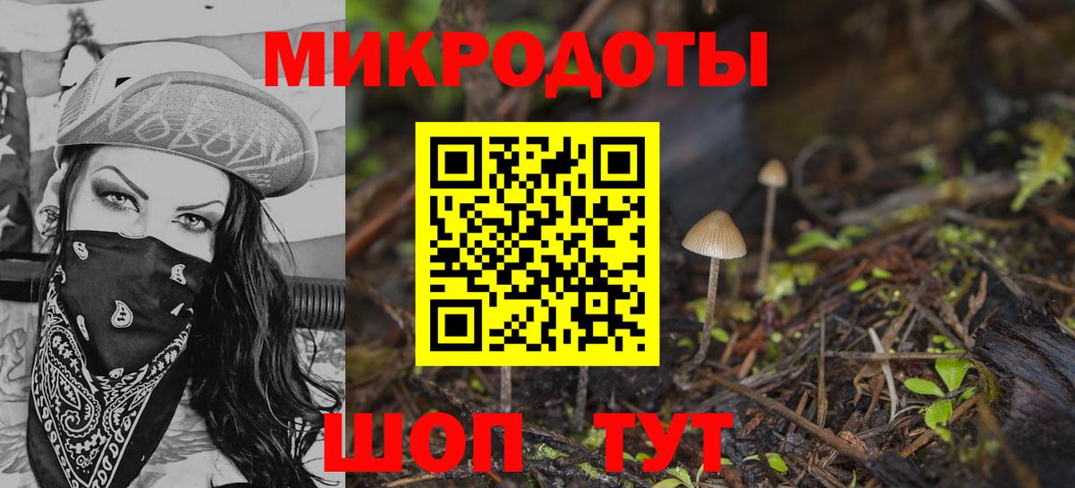 Галлюциногенные грибы Psilocybe  купить закладку  Мытищи  Вход с VPN 