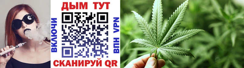 Шишки марихуана SATIVA & INDICA  купить наркотики сайты  Мытищи 